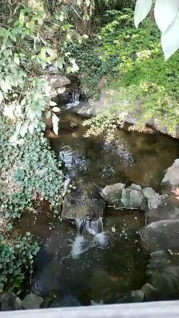 飞扬的方块鸟
