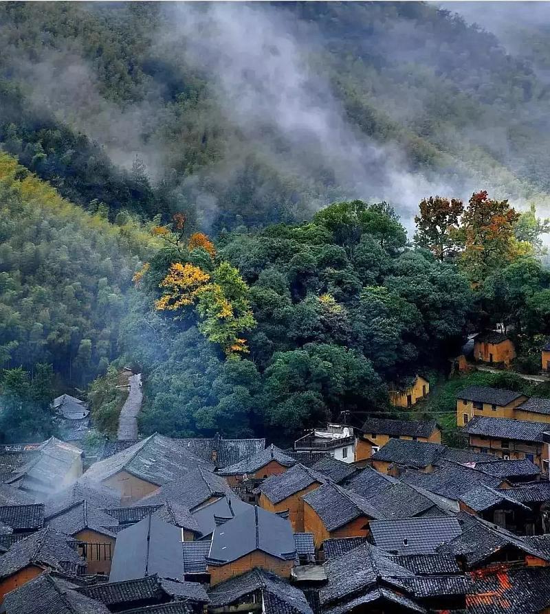 萌宠大连接